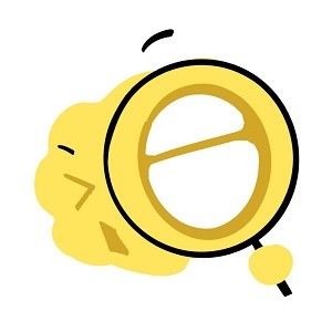 飞球直播APP下载最新版