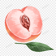WWW,333av·COM网站APPAPP应用